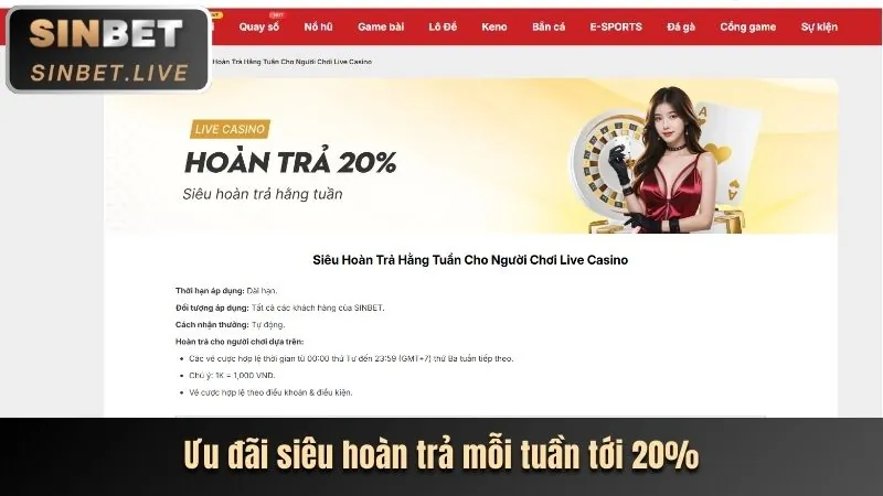 Hình ảnh minh họa các ưu đãi và khuyến mãi